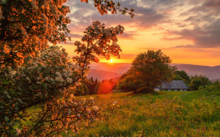 Sunset house field flowers autumn - a house in the distance free wallpaper