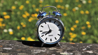 Clock rock flower field bokeh - les automatiste free wallpaper