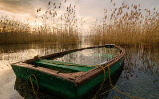 Green boat reeds water sky - constantine andreou free wallpaper