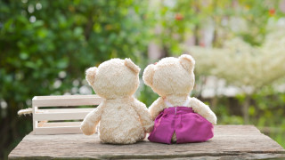Teddy bears bench purple bag - two teddy free wallpaper