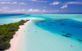 Beach boat sand trees sky - both side of it free wallpaper