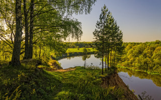 River forest hillside autumn nature - a lush green forest next free wallpaper