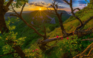 Sunset valley trees mountains sunburst - ferenc joachim free wallpaper