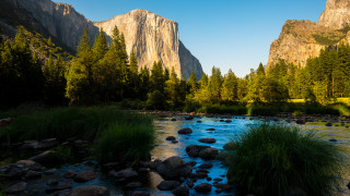 River forest mountains nature waterfall - ansel adams free wallpaper