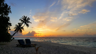 Lawn chairs beach sunset palm - under free wallpaper for desktop