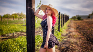 Pink hair fence field fashion - leaning free wallpaper
