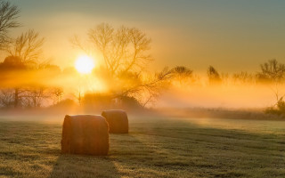 Hay bales foggy sunset volumetric - hay bale free wallpaper