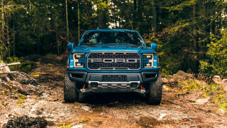 Blue truck forest dirtroad log - a log on free wallpaper