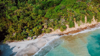 Aerial beach forest ocean boat - felipe seade free wallpaper
