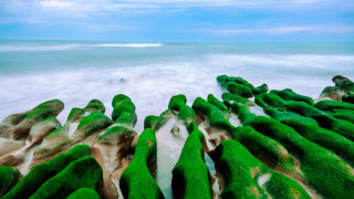 Beach green rocks water sky - a beach free wallpaper for desktop