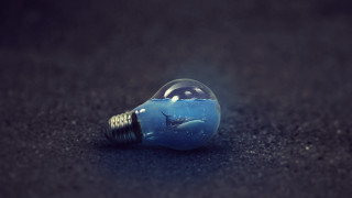 Light bulb shark photorealistic 3d - a black surface free wallpaper