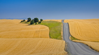 Road field tree blue sky - chris labrooy free wallpaper