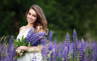 Woman bouquet purple field trees - a bouquet of flowers free wallpaper