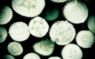 Wood pile halved stacked black - half free wallpaper