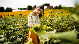 Sunflower field woman house autumn - a field of sunflowers free wallpaper