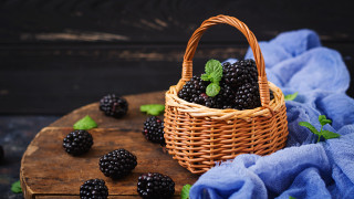Blackberries basket wooden table blue - evaline ness free wallpaper
