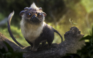 Monkey tree branch furry animal - a blurry background of trees and bushes free wallpaper