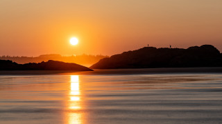 Sunset bird rock hudson river - a sunset over a body of water free wallpaper