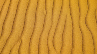 Sand dune waves yellow border - a white border free wallpaper