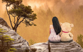 Girl rock teddy misty forest - fog free wallpaper