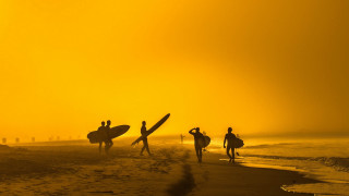 Beach surfboards sunset people ocean - sunrise time free wallpaper