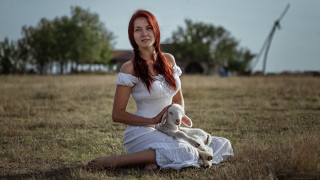 Woman white dress field stuffed - anka zhuravleva free wallpaper