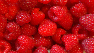 Raspberries plate fork knife macro - raspberry free wallpaper