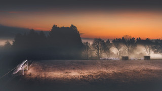 Foggy field trees fence sunset 2 - godray free wallpaper