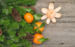Pinecone oranges woodentable flower stilllife - pine free wallpaper