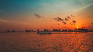 Boat sunset palm trees mountain - palm tree free wallpaper