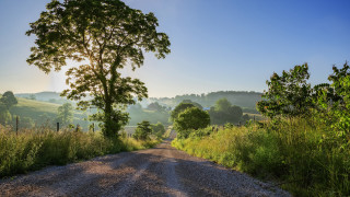 Dirt road tree field fence - a fence free wallpaper