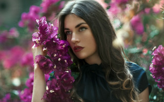 Annabel kidston purple flower blurry - a black shirt free wallpaper
