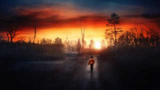 Sunset woods path person cinematic - a path free wallpaper