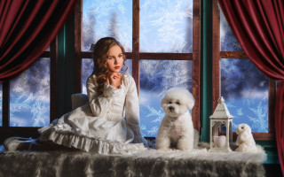 Woman sitting bed dogs lantern - a bed next free wallpaper