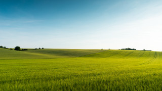 Green field trees blue sky 11 - landscape free wallpaper