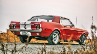 Red mustang road side field - dry free wallpaper