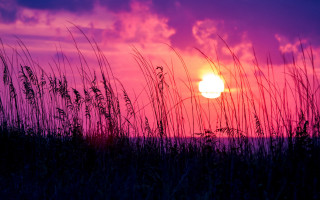 Sunset purple sky grass mountain - mystical free wallpaper
