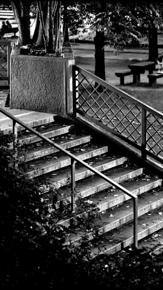 Man skateboard rail tree bench - berlin secession free wallpaper