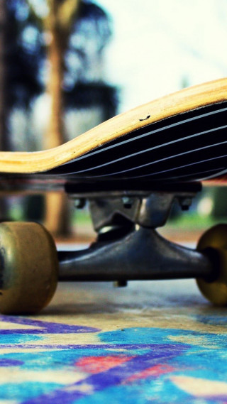Skateboard colorful carpet park trees - a skateboard free wallpaper