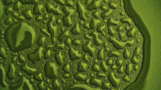 Green water drops kinetic pointillism - kinetic free wallpaper