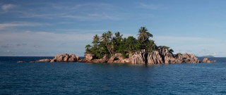 Small island palm trees ocean 20 - a small island free wallpaper