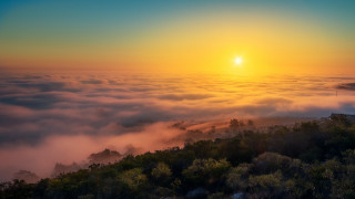 Sunset foggy forest bright sun - a bright sun in the distance free wallpaper