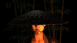 Woman hat bamboo black background - diffuse free wallpaper