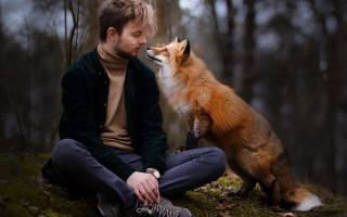 Man fox woods blurry outdoors - caspar wolf free wallpaper