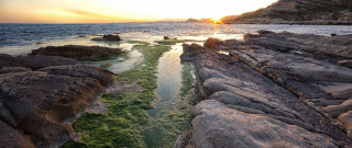 Sunset rocky beach green algae 2 - the rock free wallpaper