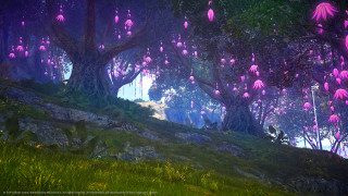 Forest pinkflowers grass hills butterflies - a painting of a forest free wallpaper