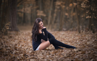 Woman forest sitting autumn blurry - the ground in a forest free wallpaper