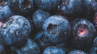 Blueberries water droplets macro constellation - evaline ness free wallpaper