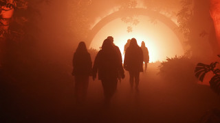 Foggy forest night sunset silhouette - bruce munro free wallpaper