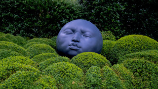 Blue face hedge garden surrealist - a blue face free wallpaper